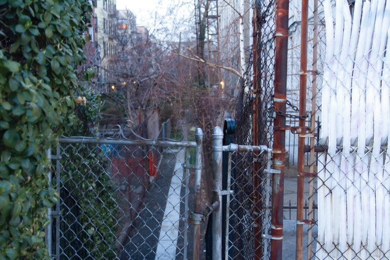 Back Yards, Queens, NYC